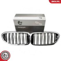 SKV 66SKV196 - Rejilla del radiador 66SKV196