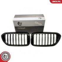 SKV 66SKV198 - Parrilla del radiador 66SKV198