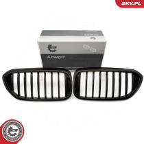 SKV 66SKV199 - Parrilla del radiador 66SKV199