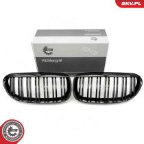 SKV 66SKV205 - Rejilla del radiador 66SKV205