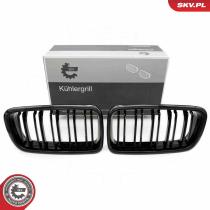 SKV 66SKV216 - Parrilla del radiador 66SKV216