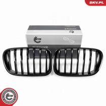 SKV 66SKV248 - Rejilla del radiador 66SKV248