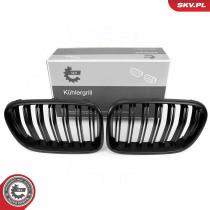 SKV 66SKV253 - Rejilla del radiador 66SKV253