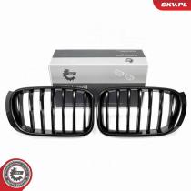 SKV 66SKV254 - Rejilla del radiador 66SKV254