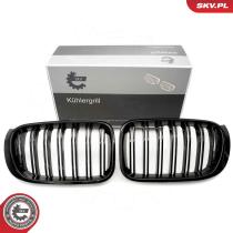 SKV 66SKV255 - Rejilla del radiador 66SKV255