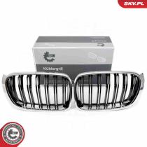 SKV 66SKV256 - Rejilla del radiador 66SKV256