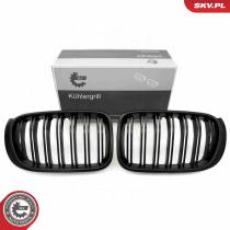 SKV 66SKV257 - Rejilla del radiador 66SKV257