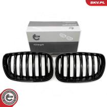 SKV 66SKV276 - Rejilla del radiador 66SKV276