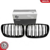 SKV 66SKV281 - Parrilla del radiador 66SKV281