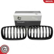 SKV 66SKV282 - Rejilla del radiador 66SKV282