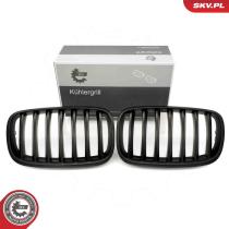 SKV 66SKV284 - Parrilla del radiador 66SKV284