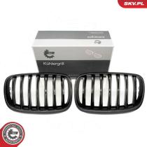SKV 66SKV286 - Parrilla del radiador 66SKV286