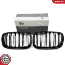 SKV 66SKV287 - Parrilla del radiador 66SKV287