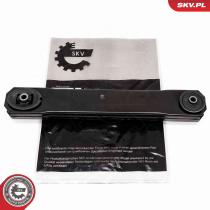 SKV 69SKV818 - Brazo de control 69SKV818