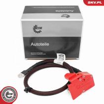SKV 96SKV332 - Cable de batería 96SKV332
